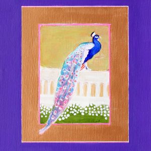 Blue Peacock