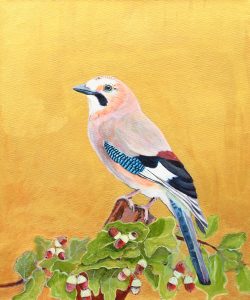 Jay